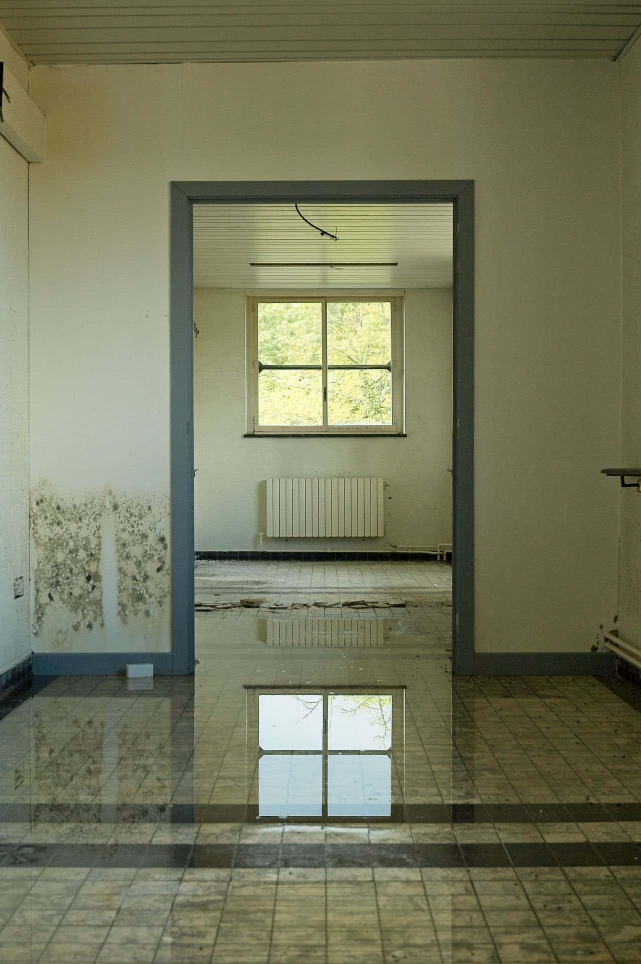 Basement room flooded with standing water and mold on the walls before cleanup